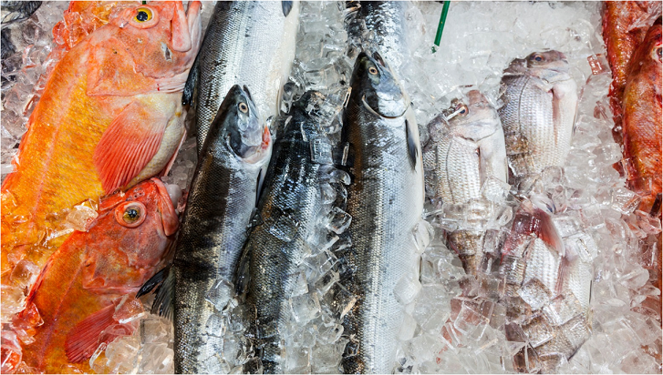 冷鏈圖片.png 冷鏈圖片.png